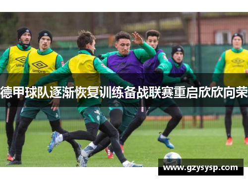 德甲球队逐渐恢复训练备战联赛重启欣欣向荣
