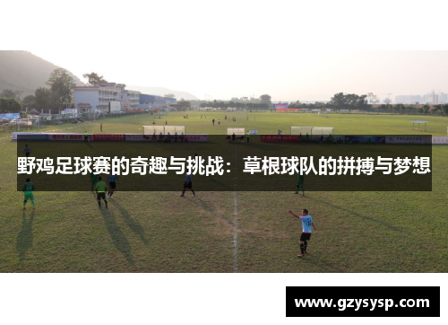 野鸡足球赛的奇趣与挑战：草根球队的拼搏与梦想