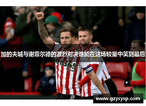 加的夫城与谢菲尔德的激烈对决谁能在这场较量中笑到最后